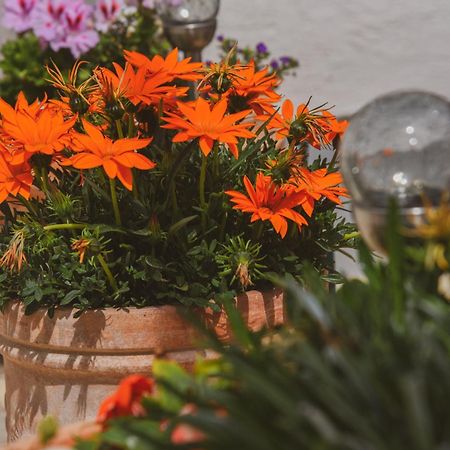 Apartments Haus Hagen Sibenik Ngoại thất bức ảnh